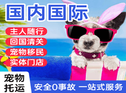 西昌空运地址国际宠物托运 【国